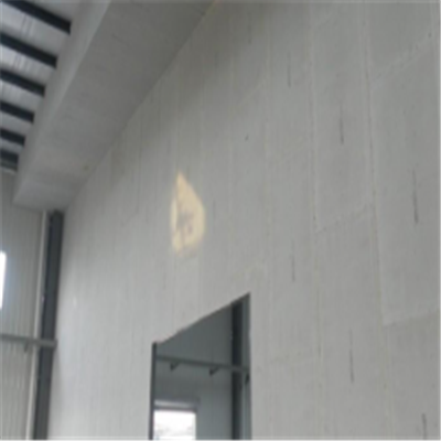 桓台新型建筑材料掺多种工业废渣的ALC|ACC|FPS模块板材轻质隔墙板